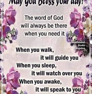 Meet your Posher, Paul